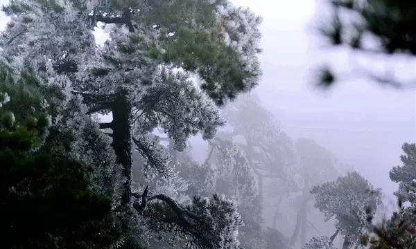 一仆二主主题曲游戏画面